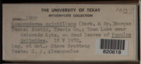 Image Associated With the Occurence